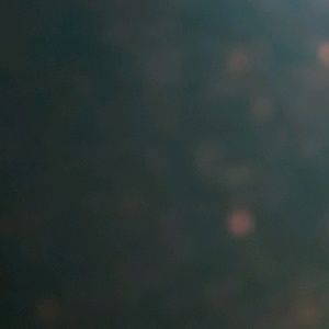 Meet your Posher, Bubba